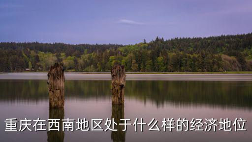 重慶在西南地區處于什么樣的經濟地位