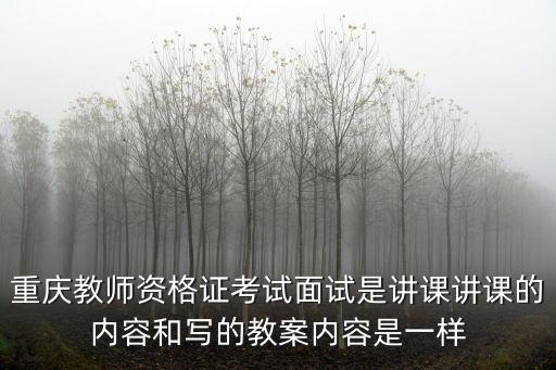 重慶市法檢考試面試線，09年重慶政法招錄的面試比例是多少啊