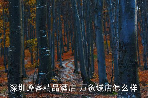 深圳后海青蓬酒家，深圳蓬客精品酒店 萬象城店怎么樣