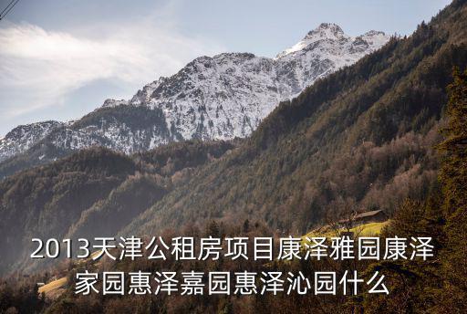 2013天津公租房項目康澤雅園康澤家園惠澤嘉園惠澤沁園什么