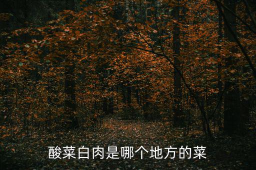 A 酸菜白肉 成都市，酸菜白肉是哪個(gè)地方的菜