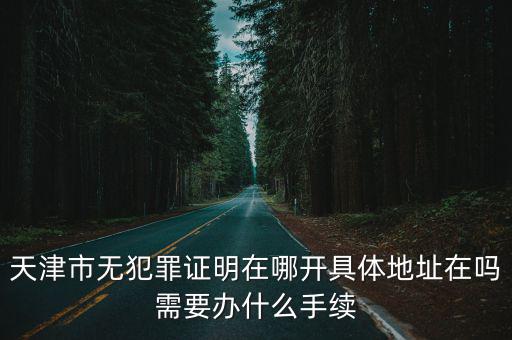 天津市無(wú)犯罪證明在哪開具體地址在嗎需要辦什么手續(xù)