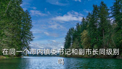 成都市鎮(zhèn)委書記什么級別，成都市紀檢委書記是什么級別
