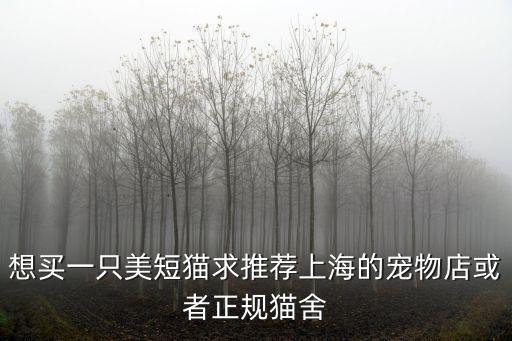 上海市貓，上海哪些花鳥市場專門以賣貓為主的不要只是單單幾家要選擇范