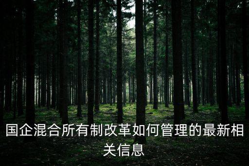 國企混合所有制改革如何管理的最新相關(guān)信息