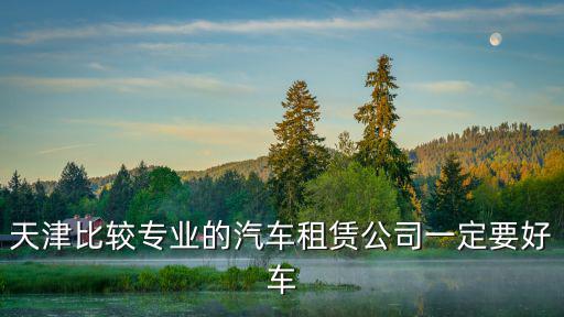 天津比較專業的汽車租賃公司一定要好車