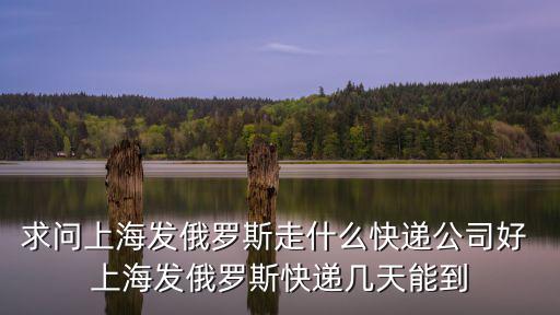 求問上海發(fā)俄羅斯走什么快遞公司好 上海發(fā)俄羅斯快遞幾天能到