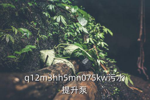 q12m3hh5mn075kw污水提升泵