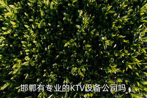 邯鄲有專業的KTV設備公司嗎