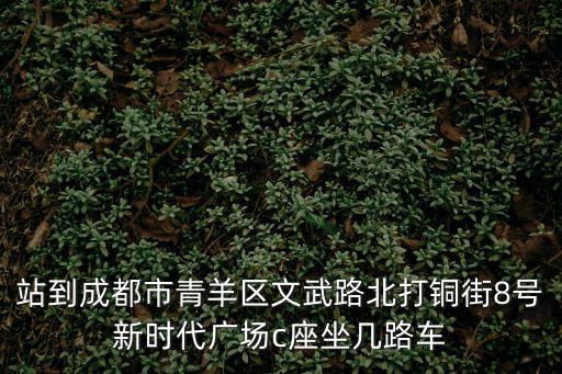 成都市文武路新時代廣場，成都新時代廣場的介紹