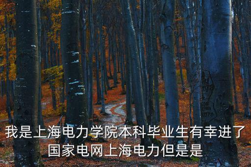 我是上海電力學院本科畢業生有幸進了國家電網上海電力但是是