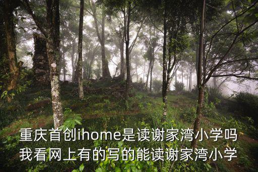 重慶市謝家灣小學參觀有感，謝家灣小學怎樣