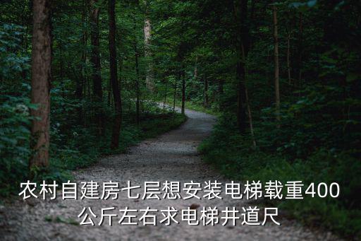 農村自建房七層想安裝電梯載重400公斤左右求電梯井道尺