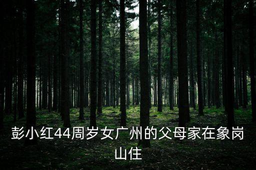 彭小紅44周歲女廣州的父母家在象崗山住