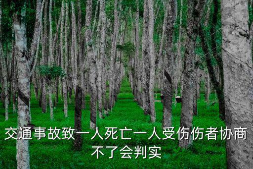 交通事故致一人死亡一人受傷傷者協商不了會判實