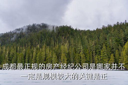成都最正規的房產經紀公司是哪家并不一定是規模較大的關鍵是正