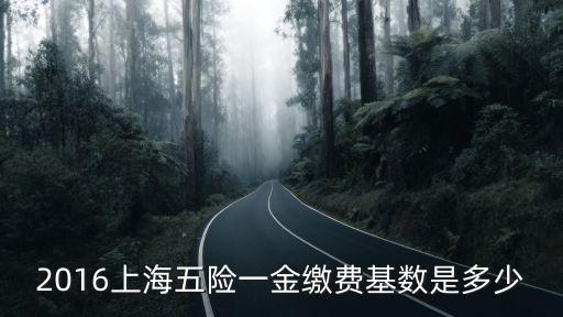2016上海五險一金繳費基數是多少