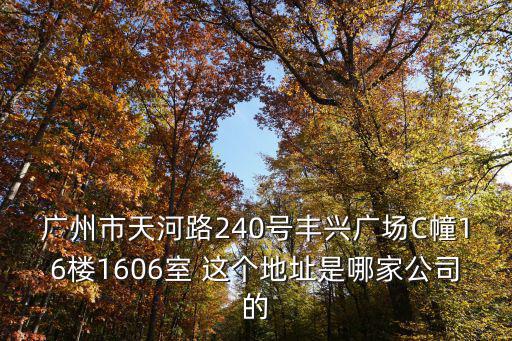廣州愛(ài)恩幼，廣州市天河路240號(hào)豐興廣場(chǎng)C幢16樓1606室 這個(gè)地址是哪家公司的