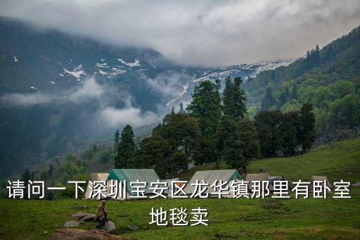 請問一下深圳寶安區(qū)龍華鎮(zhèn)那里有臥室地毯賣
