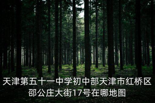 天津第五十一中學初中部天津市紅橋區邵公莊大街17號在哪地圖