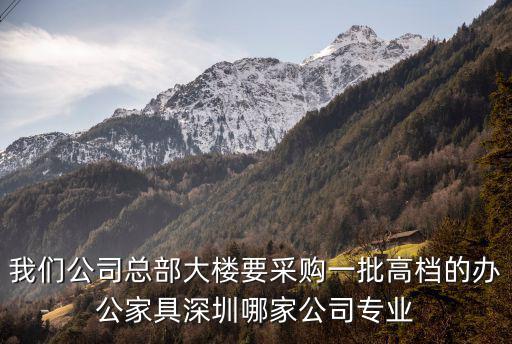 我們公司總部大樓要采購一批高檔的辦公家具深圳哪家公司專業