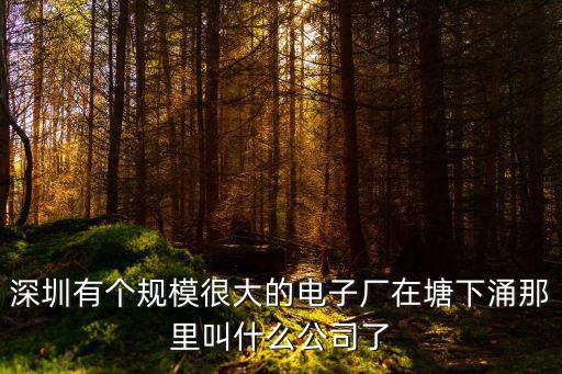 深圳有個規模很大的電子廠在塘下涌那里叫什么公司了