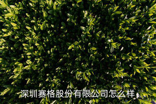 深圳賽格股份有限公司怎么樣