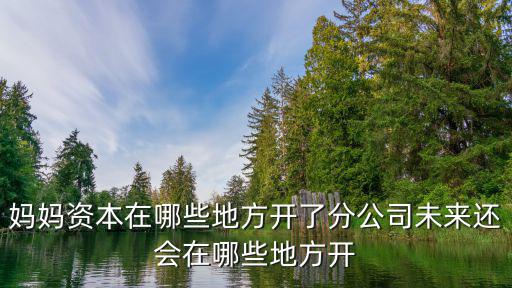 媽媽資本在哪些地方開了分公司未來還會在哪些地方開