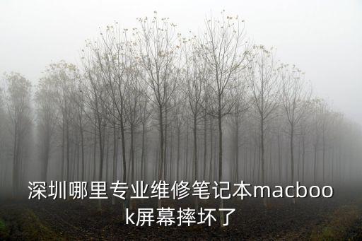 深圳哪里專業維修筆記本macbook屏幕摔壞了