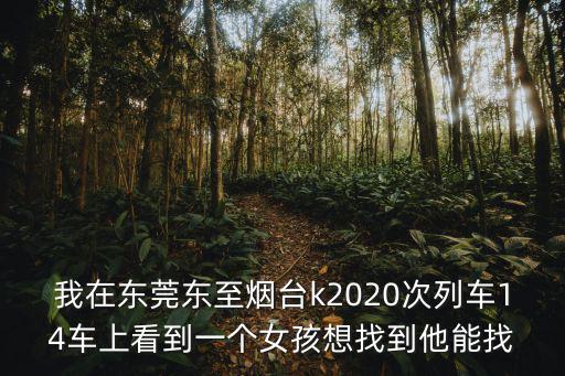 廣東東莞園洲找女人，我在東莞東至煙臺k2020次列車14車上看到一個女孩想找到他能找