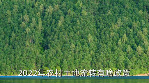 2022年農村土地流轉有啥政策
