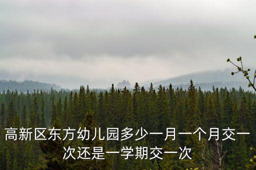 高新區東方幼兒園多少一月一個月交一次還是一學期交一次