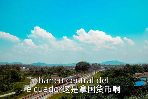 廣州parc central牛，banco central of honduras是什么