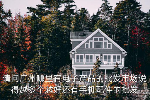 請(qǐng)問(wèn)廣州哪里有電子產(chǎn)品的批發(fā)市場(chǎng)說(shuō)得越多個(gè)越好還有手機(jī)配件的批發(fā)