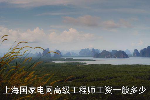 上海國家電網高級工程師工資一般多少
