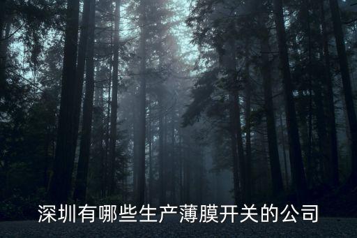 深圳有哪些生產(chǎn)薄膜開關(guān)的公司