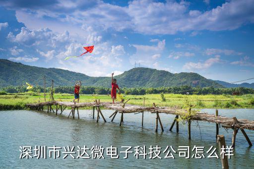 深圳市興達微電子科技公司怎么樣