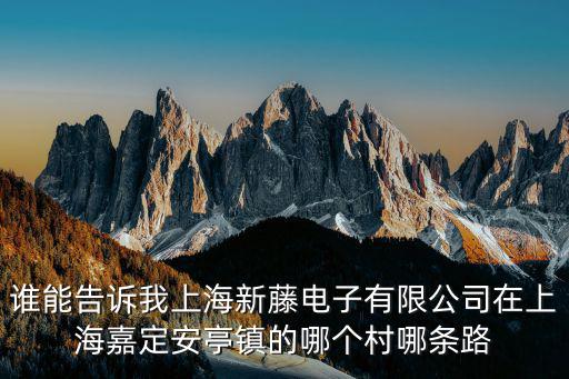 誰能告訴我上海新藤電子有限公司在上海嘉定安亭鎮的哪個村哪條路