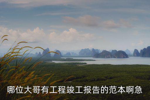 哪位大哥有工程竣工報告的范本啊急