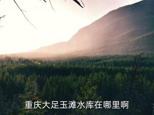 重慶大足玉灘水庫(kù)在哪里啊