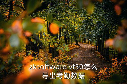 zksoftware vf30怎么導(dǎo)出考勤數(shù)據(jù)