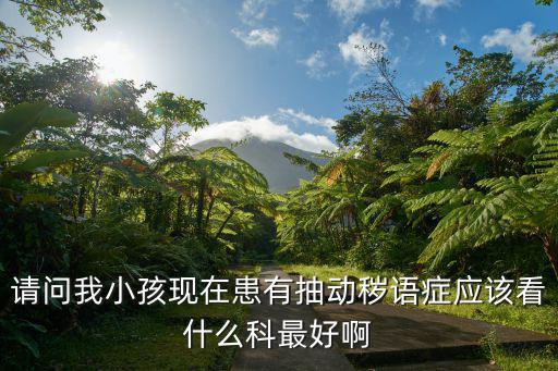 請(qǐng)問我小孩現(xiàn)在患有抽動(dòng)穢語(yǔ)癥應(yīng)該看什么科最好啊
