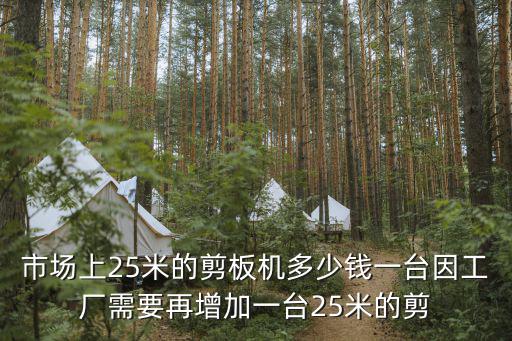 市場上25米的剪板機多少錢一臺因工廠需要再增加一臺25米的剪