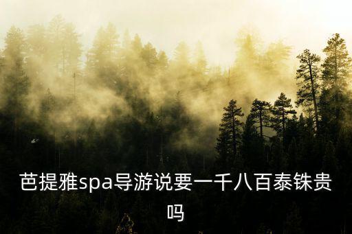 芭提雅spa導游說要一千八百泰銖貴嗎