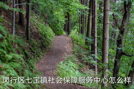 閔行區七寶鎮社會保障服務中心怎么樣