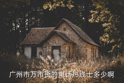 廣州市萬市長的電話熱線士多少啊