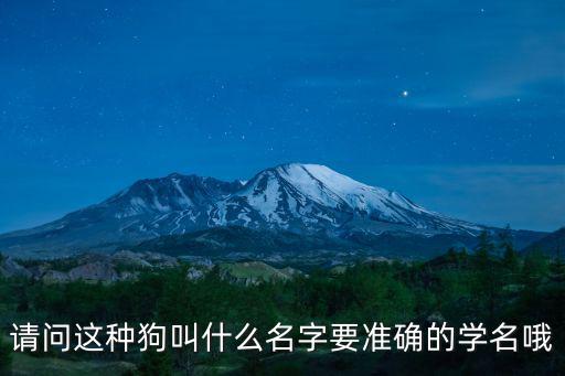 請問這種狗叫什么名字要準確的學名哦