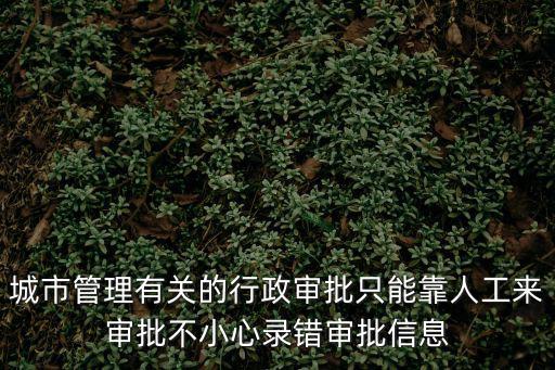 城市管理有關的行政審批只能靠人工來審批不小心錄錯審批信息