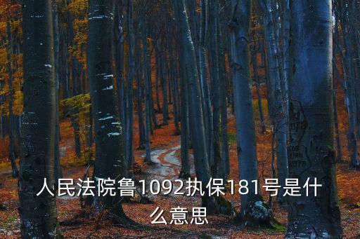 人民法院魯1092執保181號是什么意思