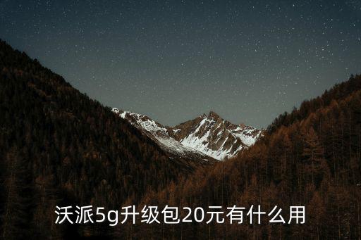 東莞沃派20，沃派5g升級包20元有什么用
